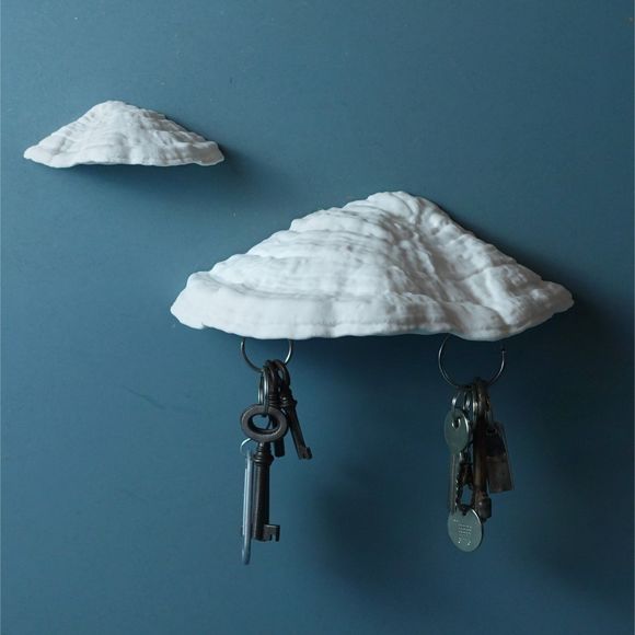 Carnosum Fungus Magnetic Key Holder for Party, Living Room, Bedroom - Picture 1 of 9